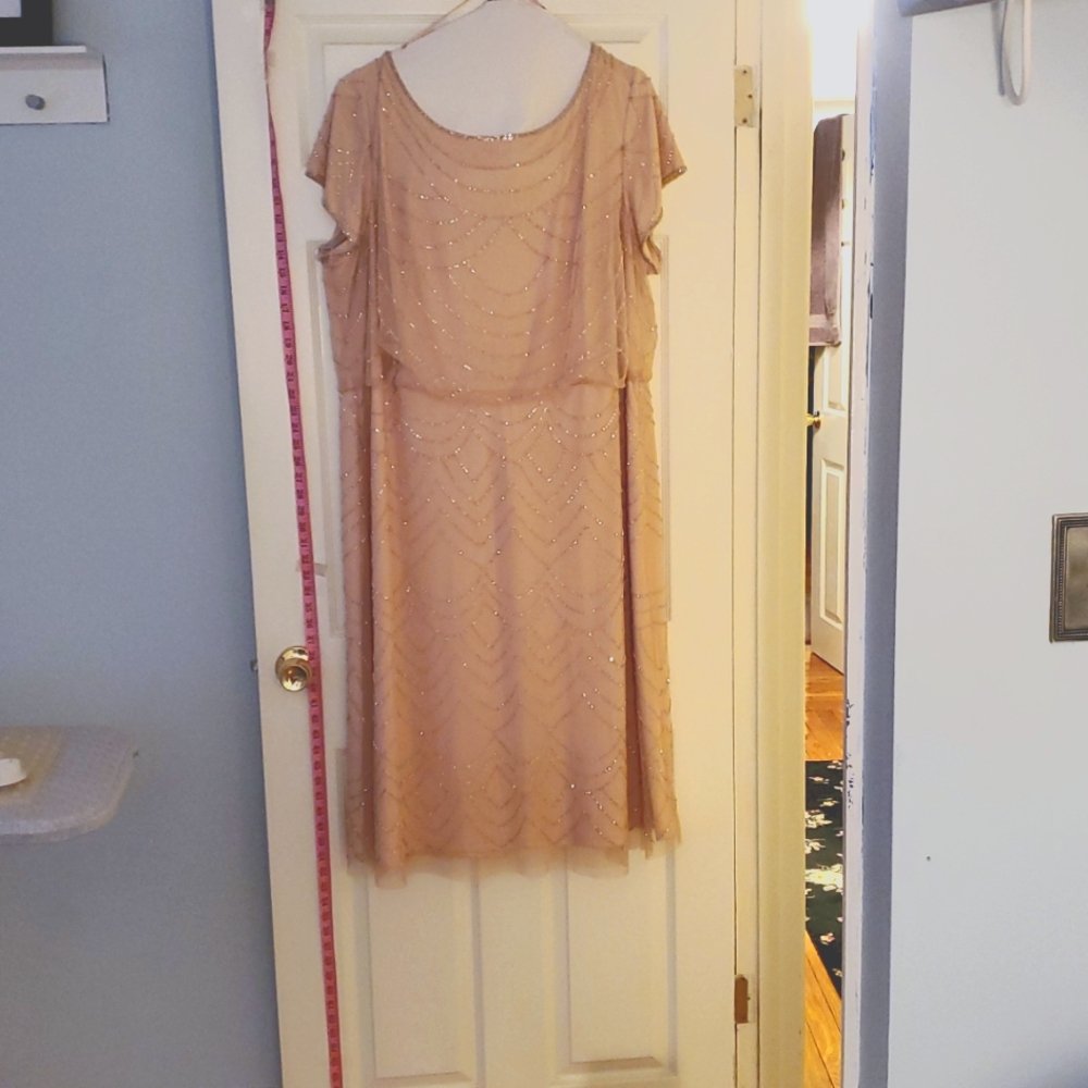 Adrianna Papell cocktail dress.